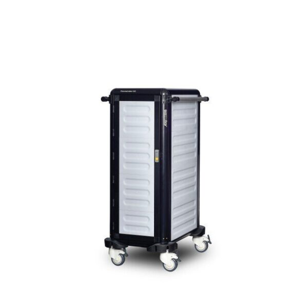 TermoKabin 100